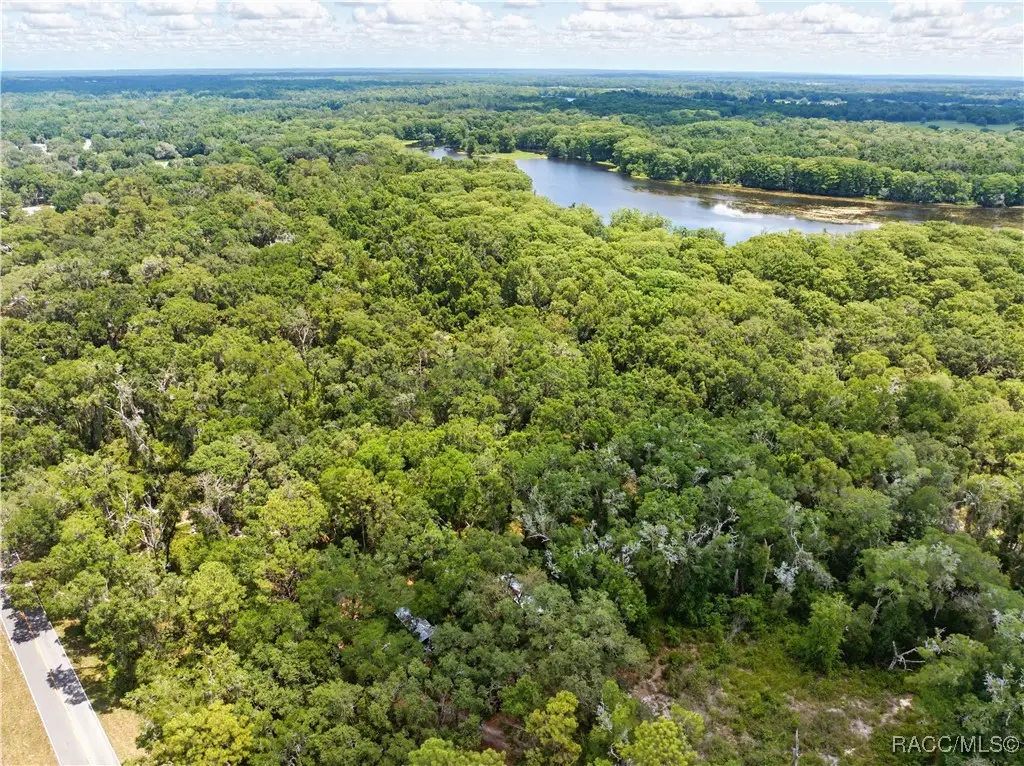 0 Lingle Road, Brooksville, FL 34601 - Image #1