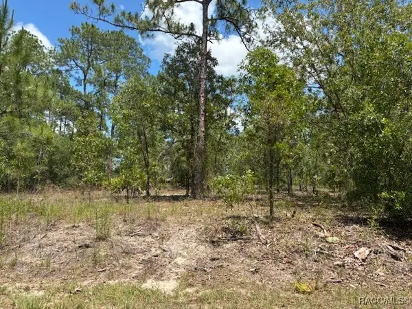 TBD SW Southview Court, Dunnellon, FL 34431