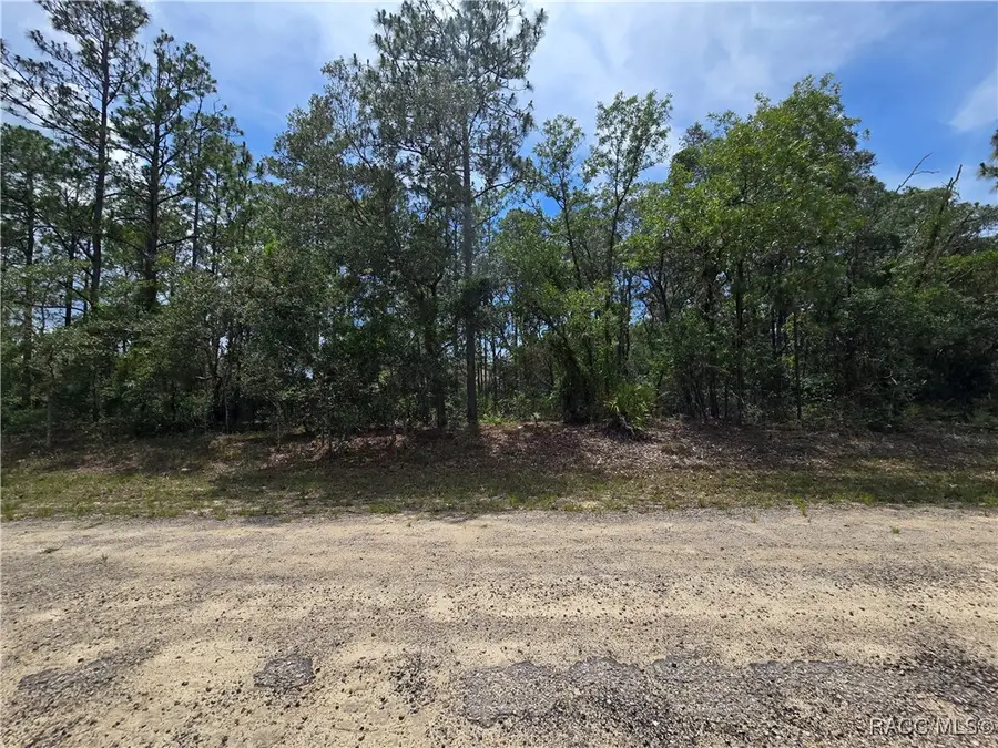 6468 N Baylor Terrace, Citrus Springs, FL 34433 - Image #3