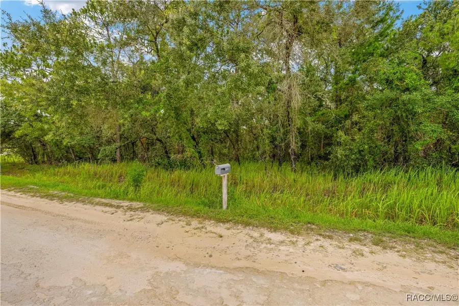 0000 Maybird Avenue, Weeki Wachee, FL 34613 - Image #3