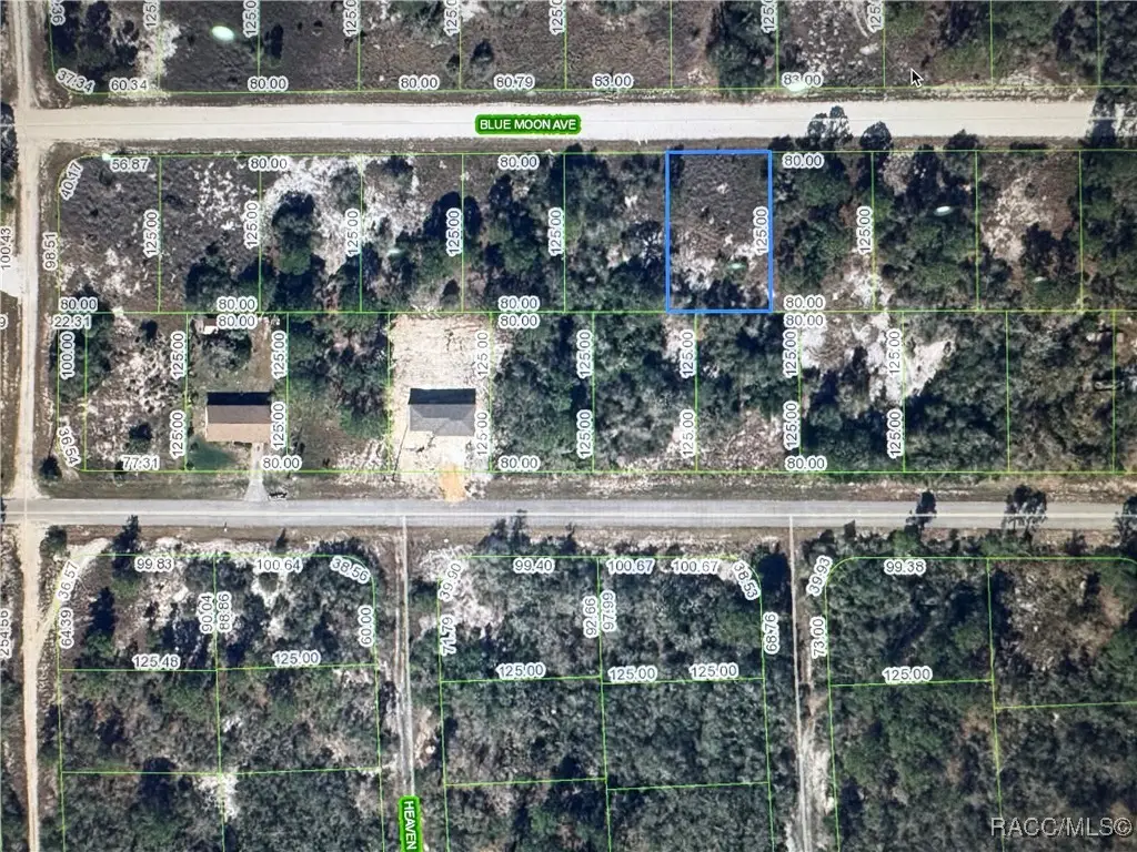 325 Blue Moon Avenue, Lake Placid, FL 33852 - #1