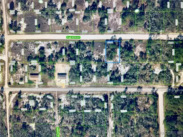 329 Blue Moon Avenue, Lake Placid, FL 33852