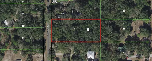 8585 N Maple Avenue, Crystal River, FL 34428