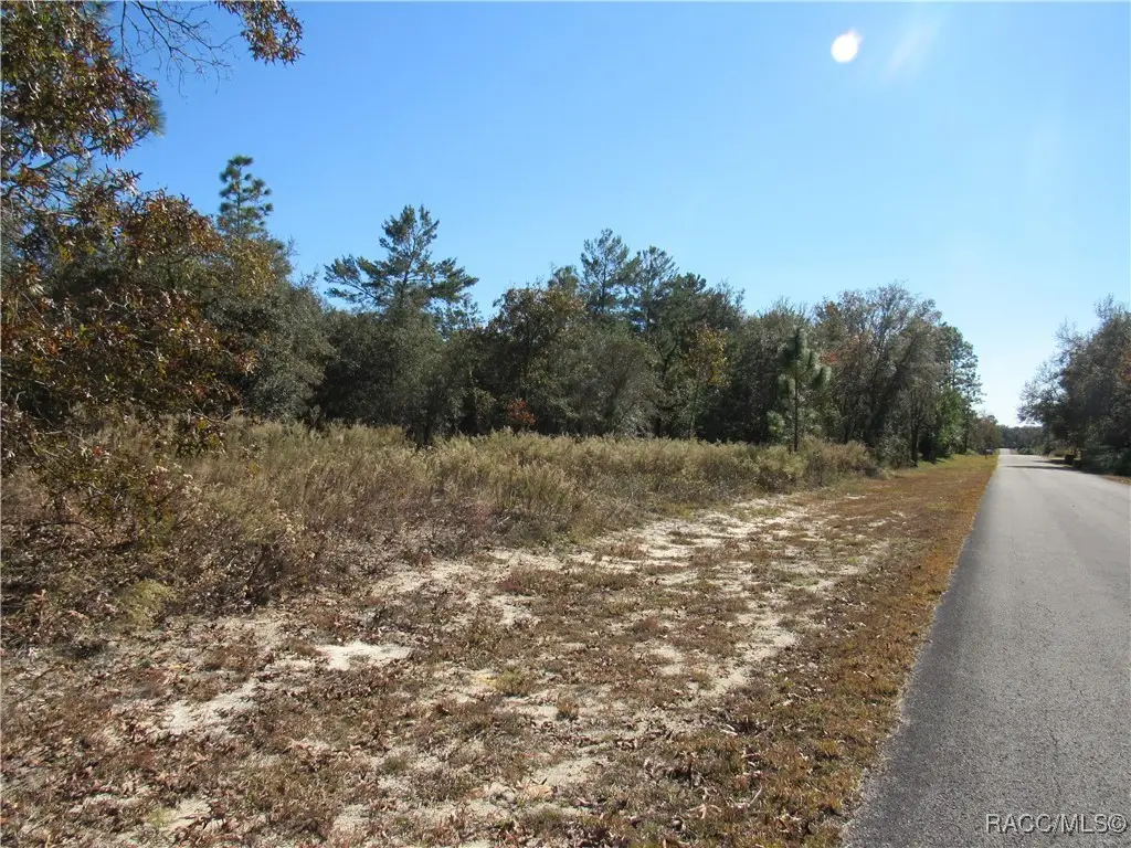 0000 SW Sands Pt Avenue, Dunnellon, FL 34431 - Image #1