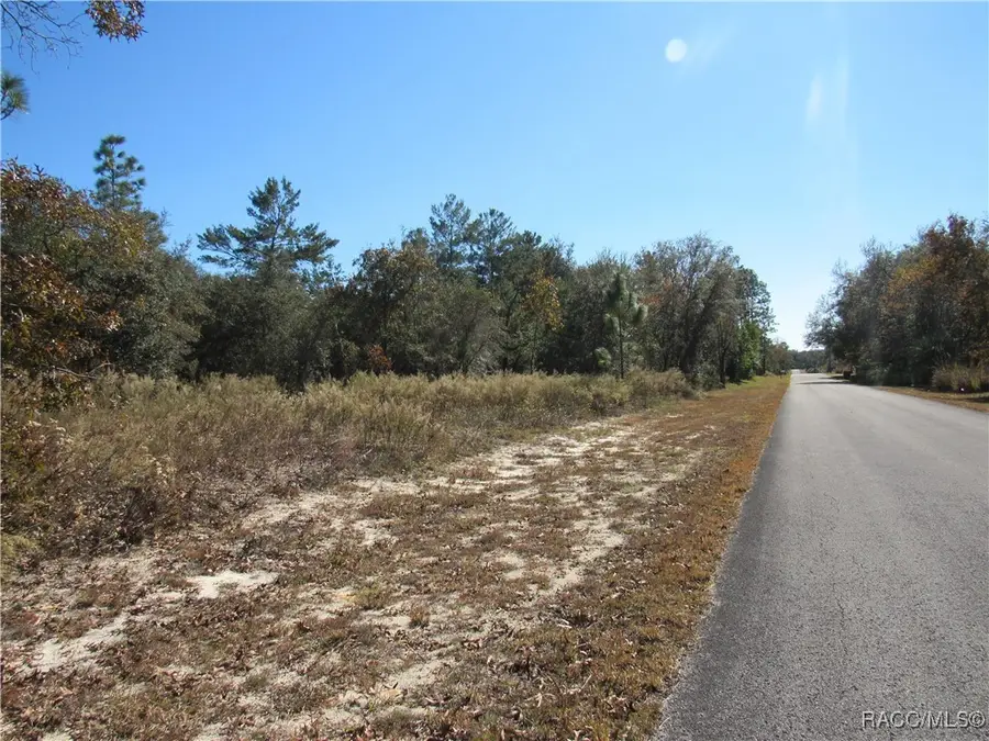 0000 SW Sands Pt Avenue, Dunnellon, FL 34431 - Image #2