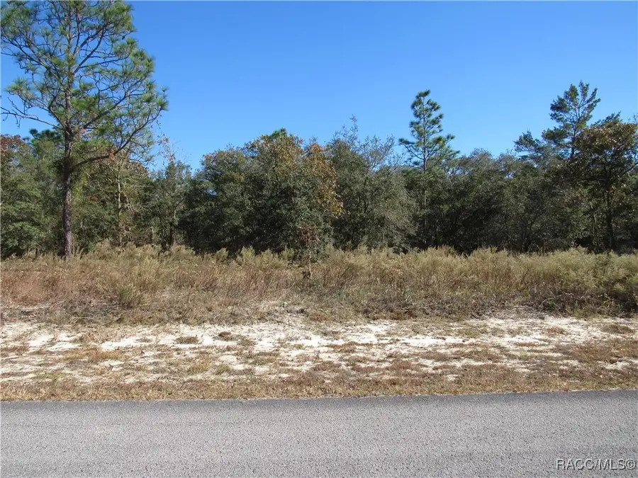 0000 SW Sands Pt Avenue, Dunnellon, FL 34431 - Image #3