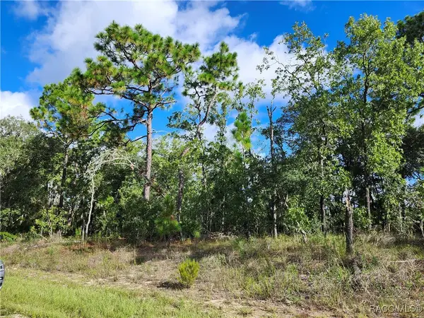 6741 N Darlington Drive, Dunnellon, FL 34434