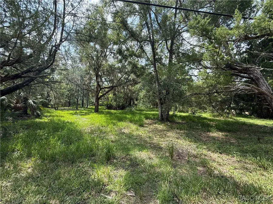 11990 W Eldred Lane, Homosassa, FL 34448 - #3