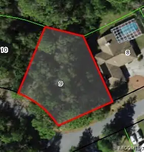 24 Wild Olive Court, Homosassa, FL 34446
