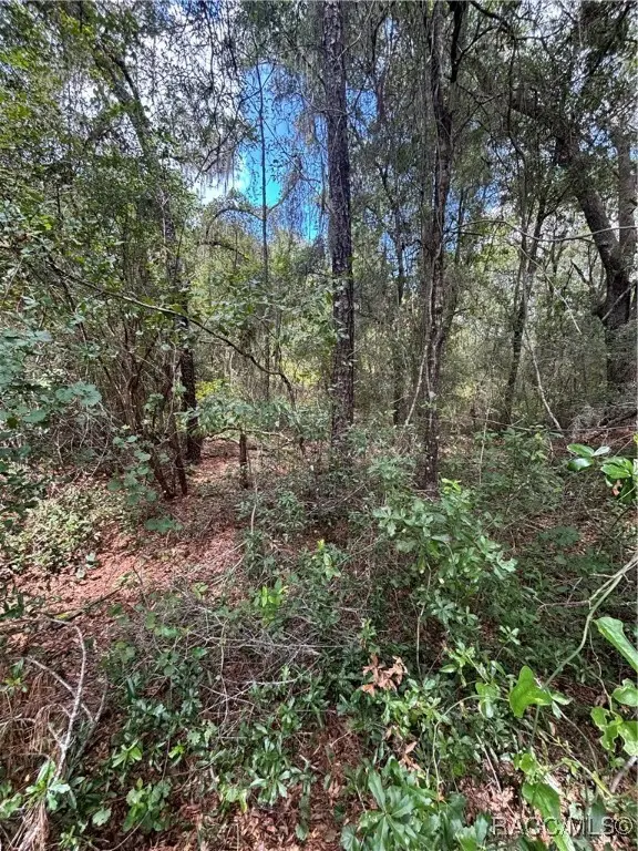 875 E Elston Place, Citrus Springs, FL 34434 - #2