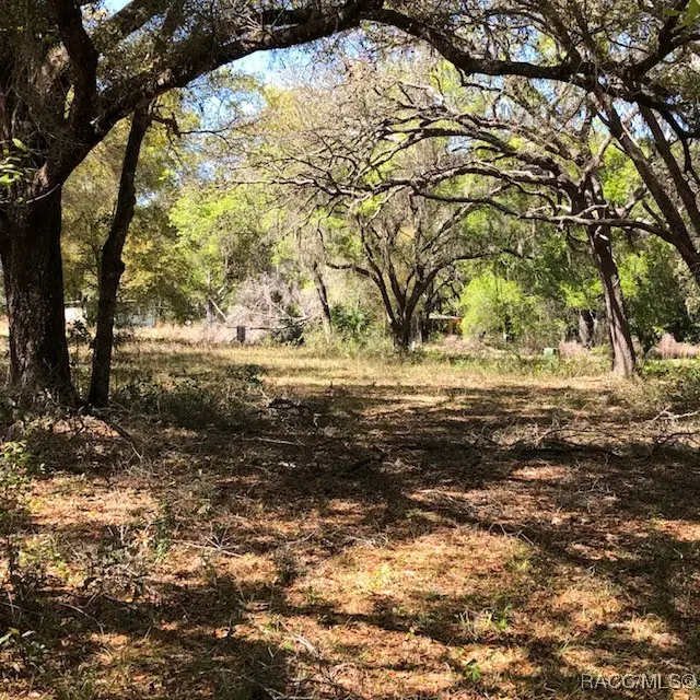 2001 N Hwy 41 Highway, Inverness, FL 34453 - Image #3