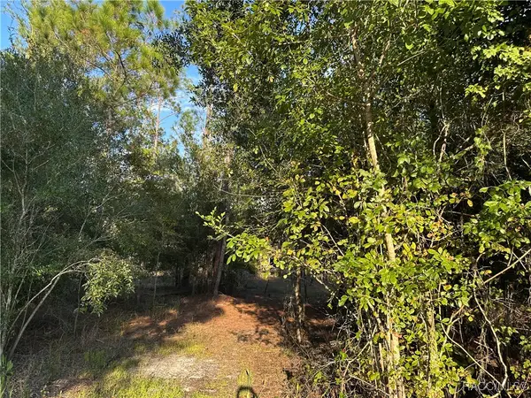 8338 Hardstone Drive, Webster, FL 33597