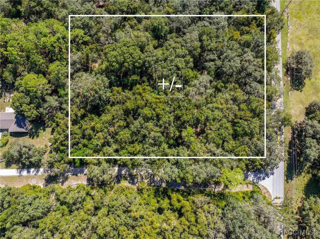 11420 E Steamboat Drive, Floral City, FL 34436 - #1