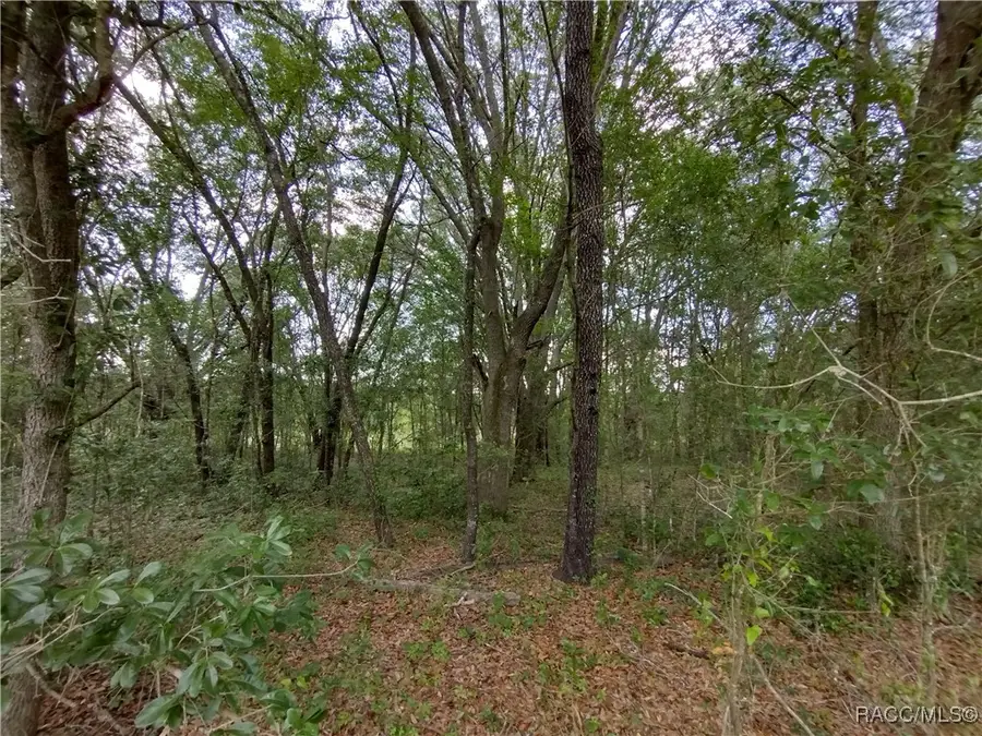 Lot 10 SW 36th Loop, Dunnellon, FL 34432 - Image #2