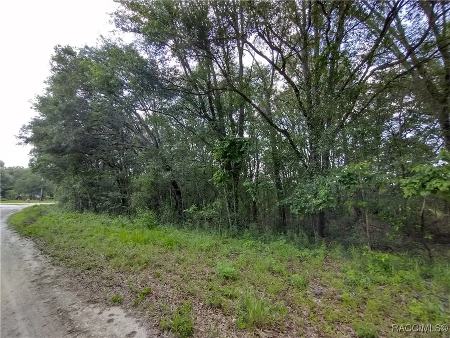 Lot 10 SW 36th Loop, Dunnellon, FL 34432 - Image #3