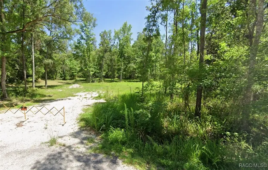 0 Ray Browning Road, Brooksville, FL 34601 - #3