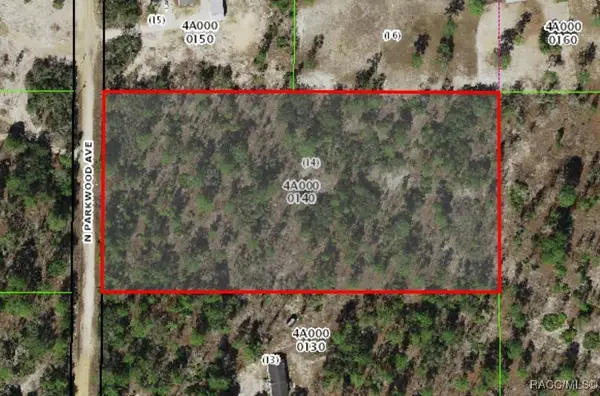 9845 N Parkwood Avenue, Dunnellon, FL 34433