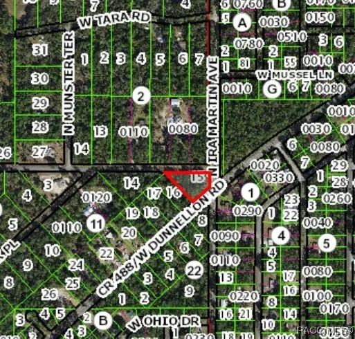 10032 W Dublin Street, Crystal River, FL 34428 - Image #3