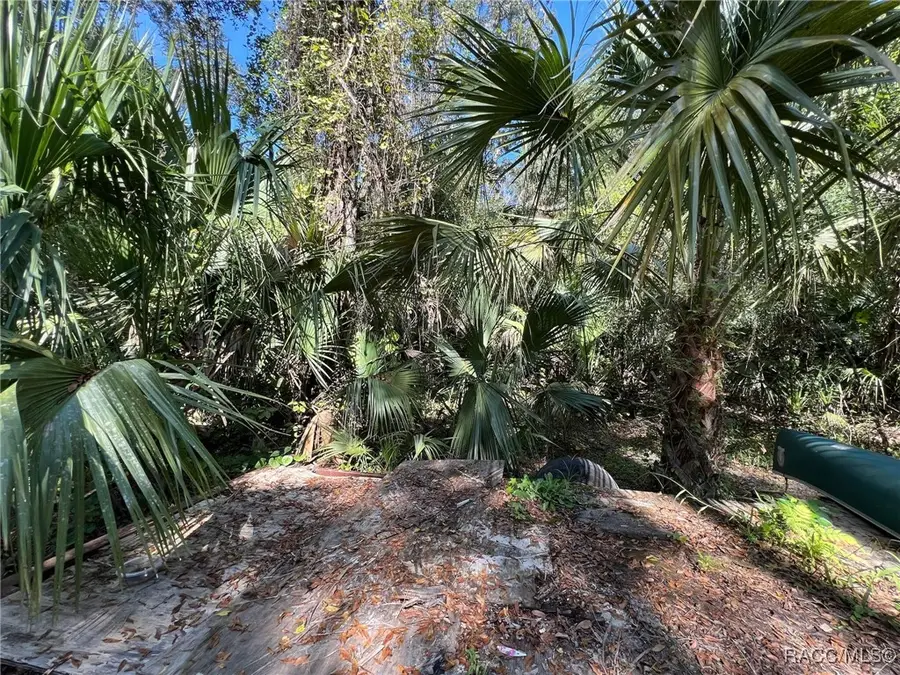 6929 E Totem Court, Hernando, FL 34442 - Image #2