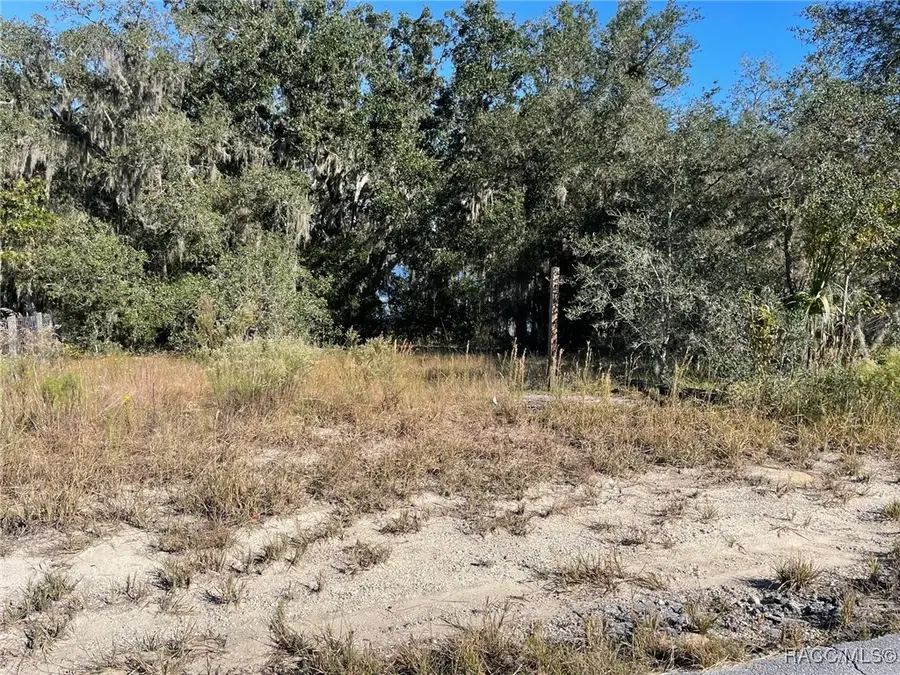 LOTS 444, 445 SW Shorewood Drive, Dunnellon, FL 34431 - #3