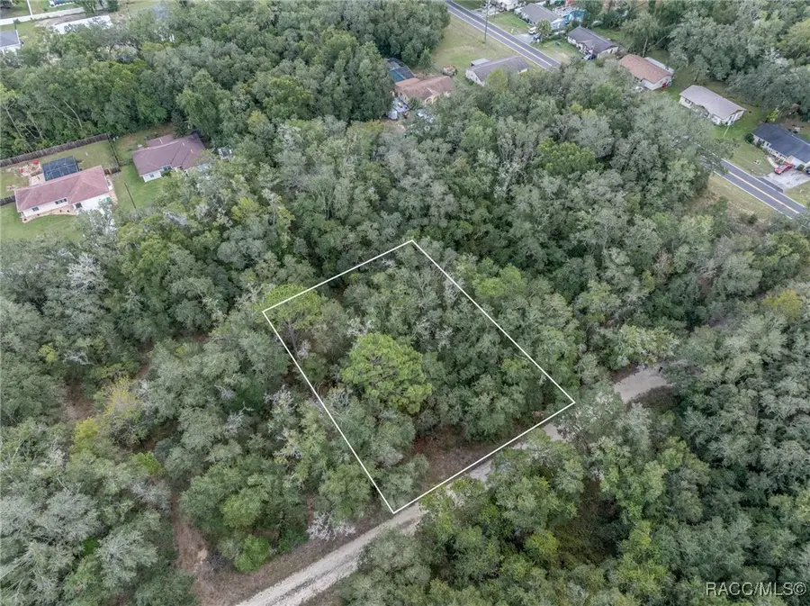 35 N Baker Terrace, Inverness, FL 34453 - Image #3