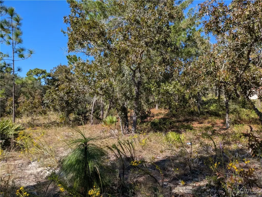 5 Dahlia Court N, Homosassa, FL 34446 - Image #1