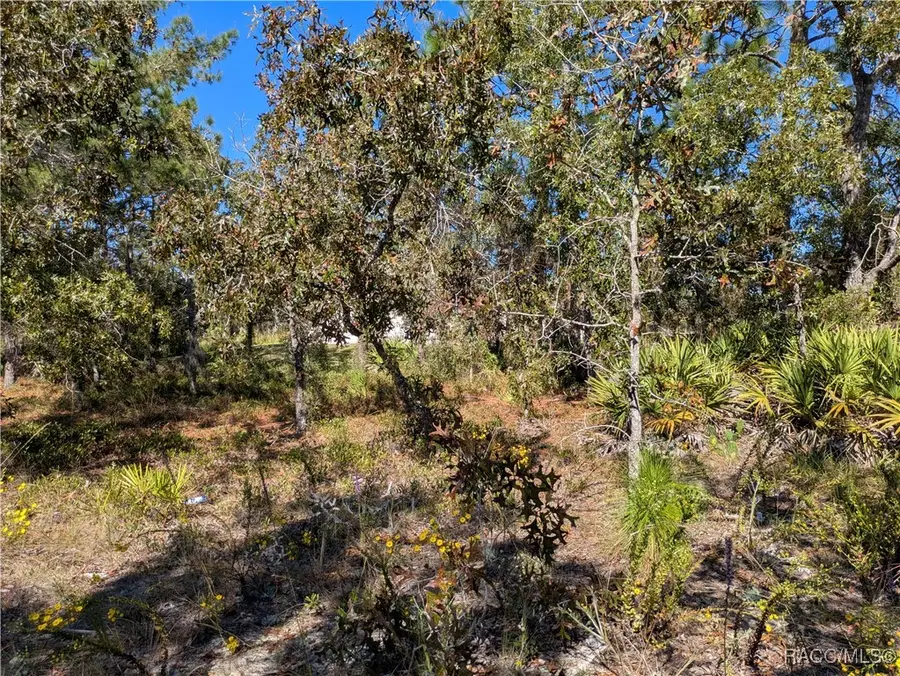 5 Dahlia Court N, Homosassa, FL 34446 - Image #2