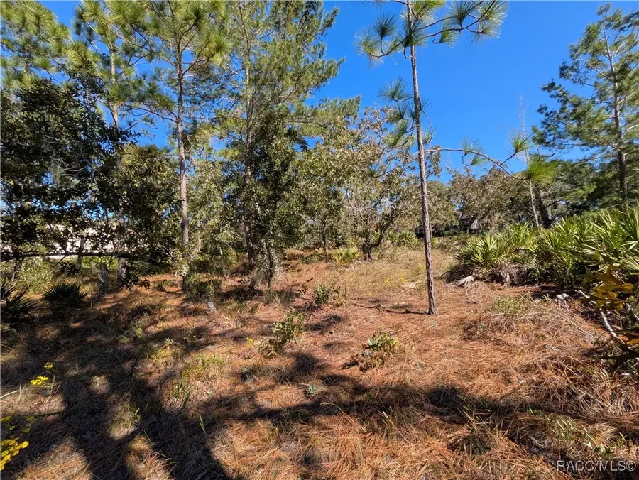 5 Dahlia Court N, Homosassa, FL 34446 - Image #3