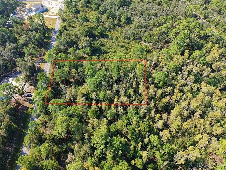 9566 N Cavewood Avenue, Crystal River, FL 34428 - Image #3