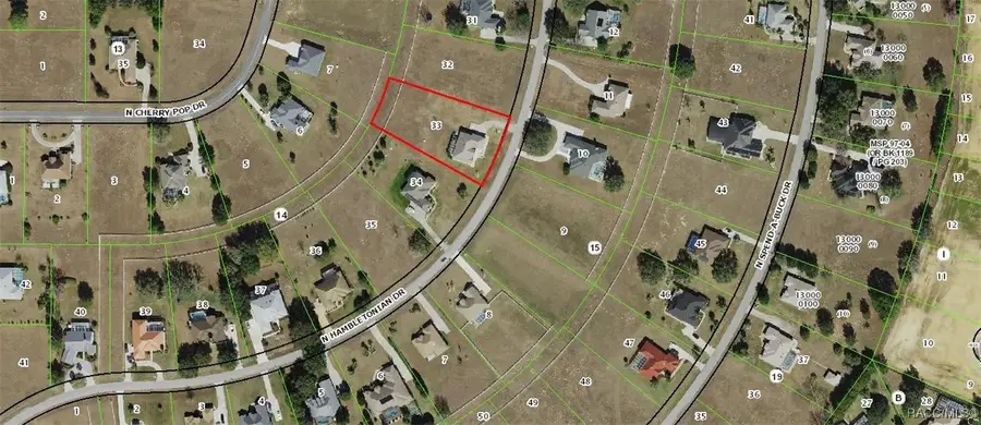 236 N Hambletonian Street, Inverness, FL 34453 - Image #3