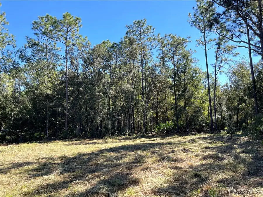 6712 W Macopin Lane, Crystal River, FL 34429 - #2