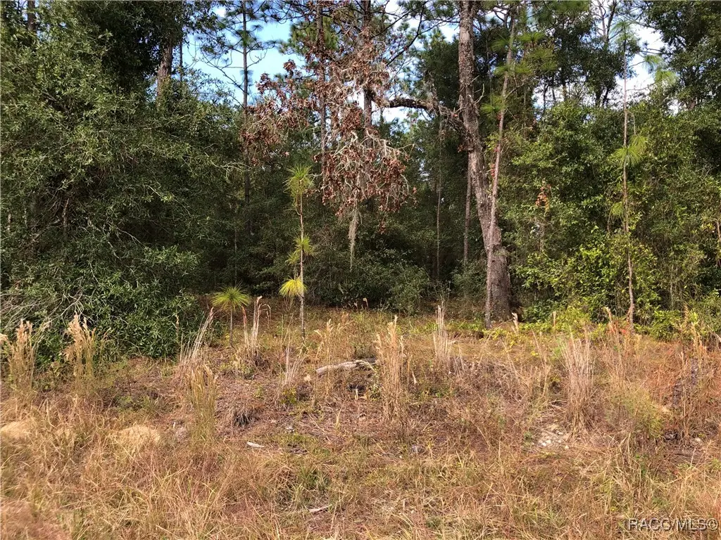 00000 Sw 45 Street, Ocala, FL 34481 - Image #1