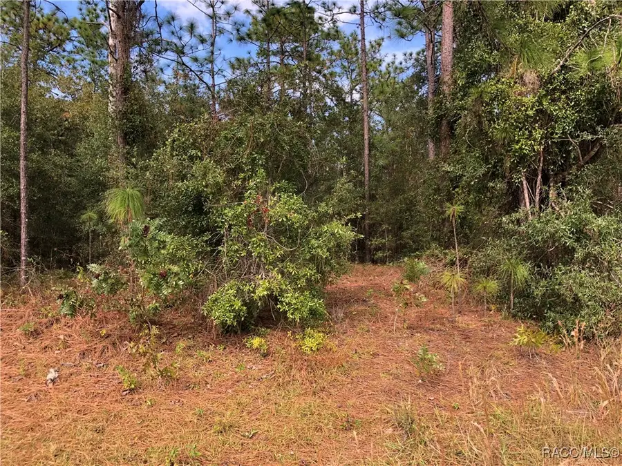 00000 Sw 45 Street, Ocala, FL 34481 - Image #3