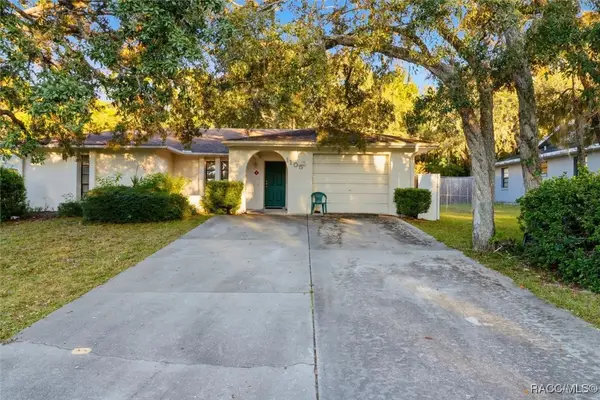 1105 N Commerce Terrace, Lecanto, FL 34461