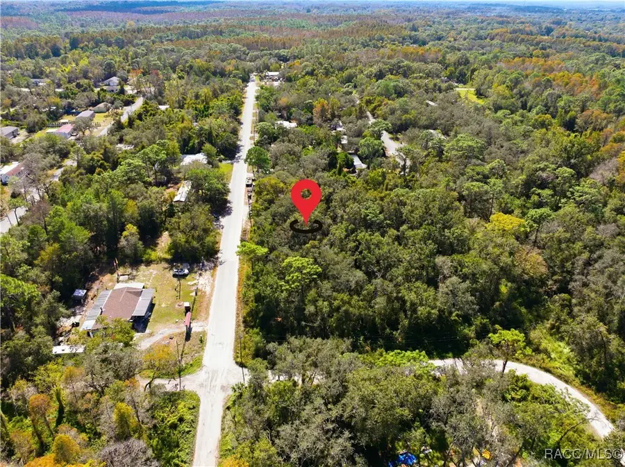 000 Shalimar Street, New Port Richey, FL 34654 - #3