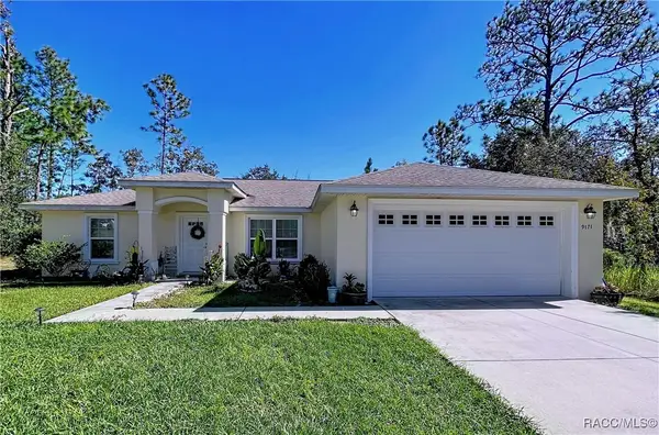 9171 N Paradisea Drive, Citrus Springs, FL 34433