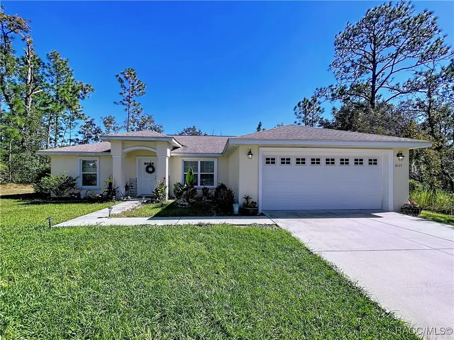 9171 N Paradisea Drive, Citrus Springs, FL 34433 - #2