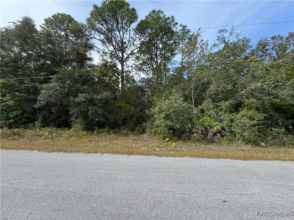 2830 S Bolton Avenue, Homosassa, FL 34448 - Image #1
