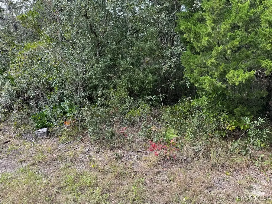 2830 S Bolton Avenue, Homosassa, FL 34448 - Image #2