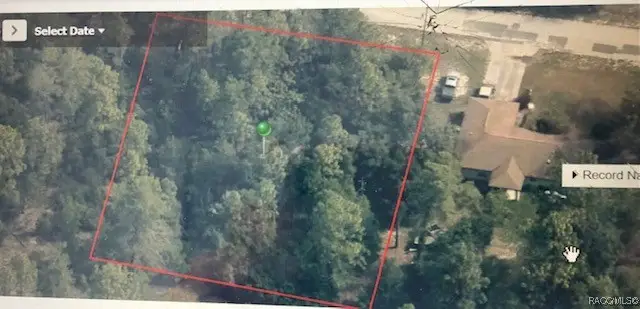 8368 N Legacy Loop, Citrus Springs, FL 34433 - Image #2