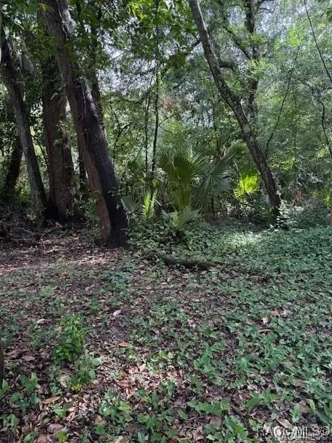 9379 E Tin Pan Alley, Inverness, FL 34453 - Image #3