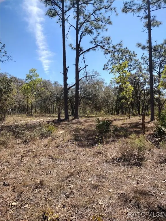 8486 N Calcutta Avenue, Dunnellon, FL 34433 - Image #2