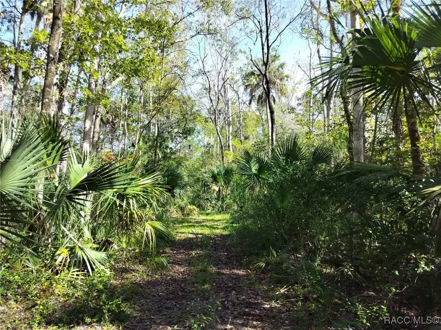 10008 W Pennsylvania Street, Homosassa, FL 34448 - Image #2