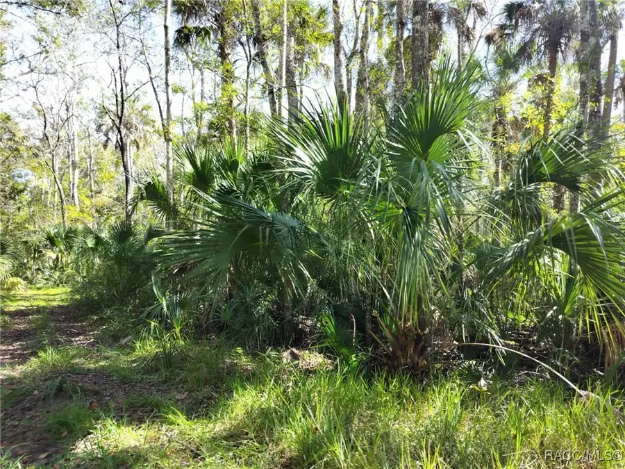 10008 W Pennsylvania Street, Homosassa, FL 34448 - Image #3