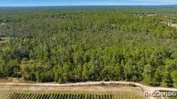 9478 N Timber Creek Terrace, Dunnellon, FL 34433