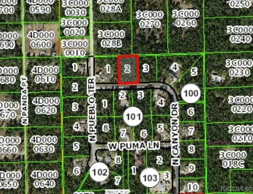 6175 N Canyon Drive, Beverly Hills, FL 34465 - Image #3