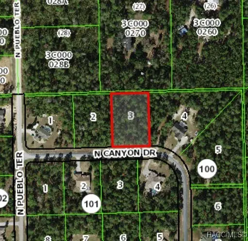 6163 N Canyon Drive, Beverly Hills, FL 34465