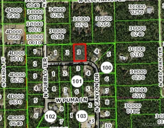 6163 N Canyon Drive, Beverly Hills, FL 34465 - Image #3