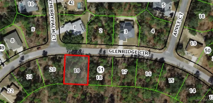 19 Glenridge Circle, Homosassa, FL 34446 - Image #3