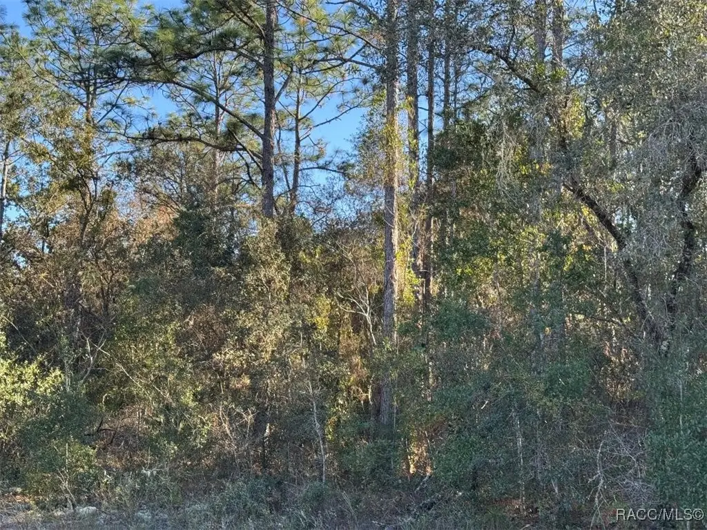 3144 W Marie Drive, Citrus Springs, FL 34433 - Image #1